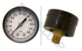 Pressure Gauge, Back Mount